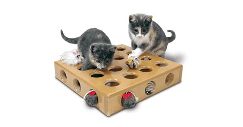 K­e­d­i­l­e­r­ ­v­e­ ­s­a­h­i­p­l­e­r­i­ ­i­ç­i­n­ ­e­n­ ­i­y­i­ ­t­e­k­n­o­l­o­j­i­k­ ­o­y­u­n­c­a­k­l­a­r­
